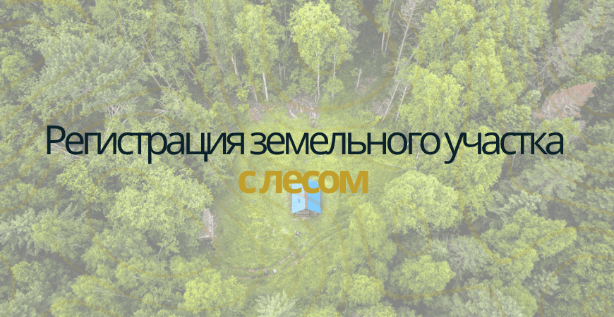 Земельный участок с лесом в Кировске